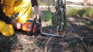 Best Soil Testing and Treatment  in Big Rock, IL